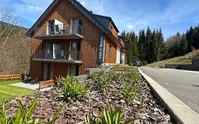 Apartmany U Lesa